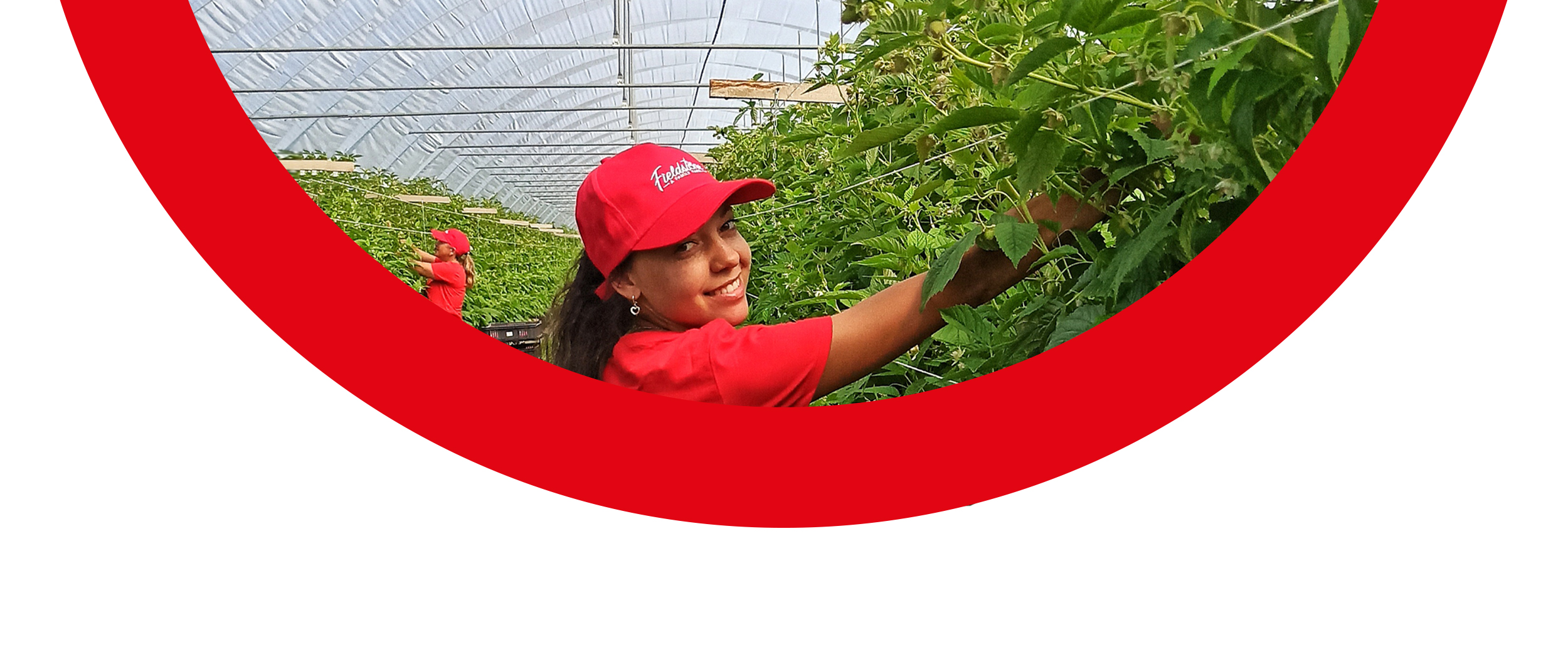 Seasonal Jobs Fieldstone Investments